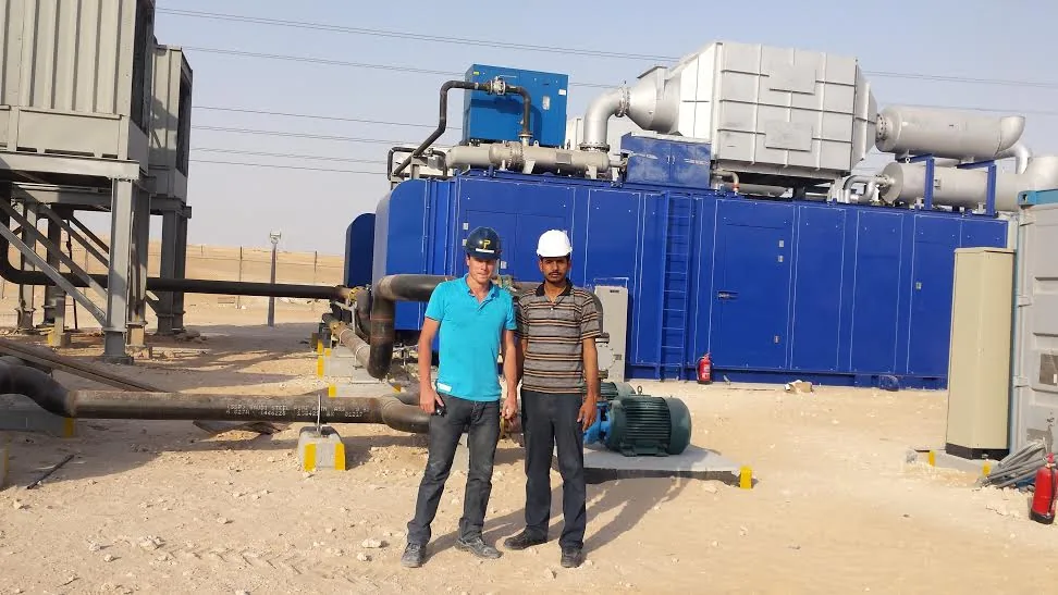 Inter-connecting piping and structural work.