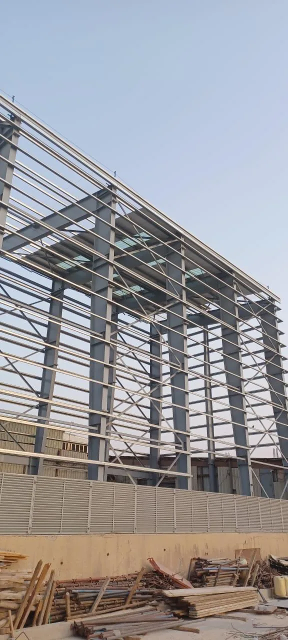 Structural steel framework in progress.